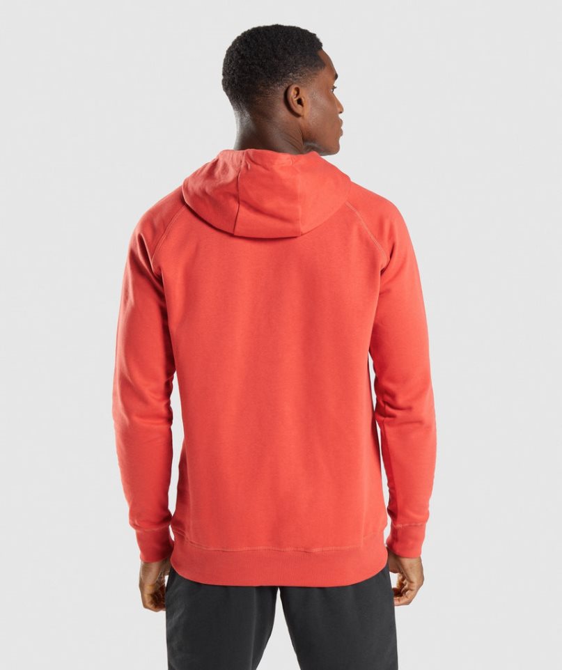 Bluzy Z Kapturem Gymshark Sharkhead Infill Męskie Pomarańczowe | PL 409ZFO